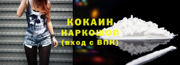 крисы Богородицк