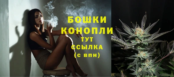 крисы Богородицк