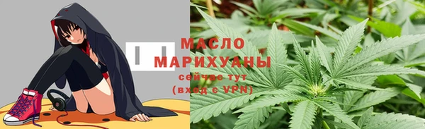 крисы Богородицк