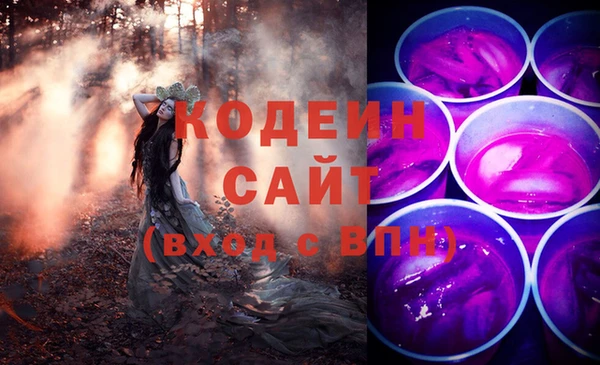 крисы Богородицк