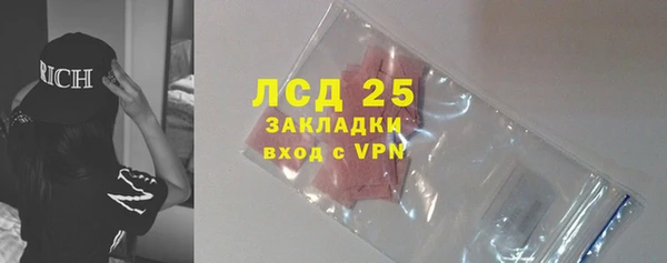 крисы Богородицк