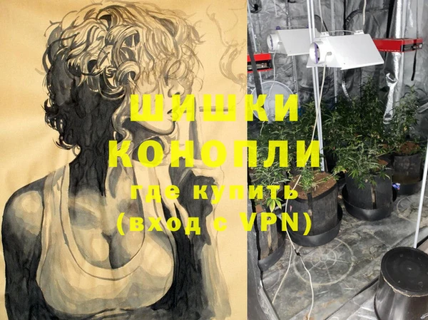 героин Богданович