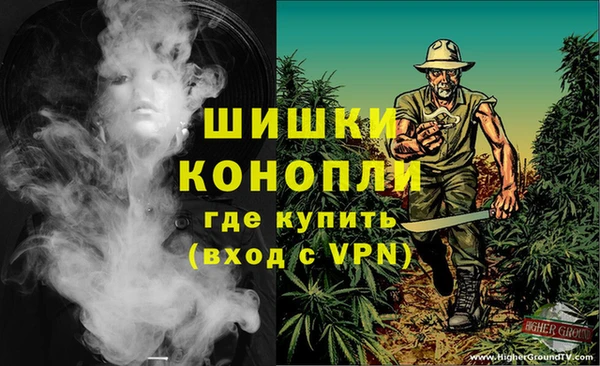 крисы Богородицк