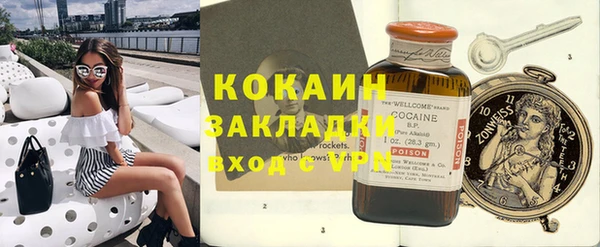 крисы Богородицк